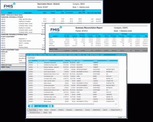 FMIS Fixed Assets Screen
