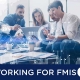 Working for FMIS