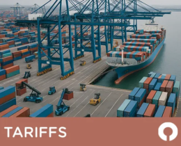 Capital Expenditure Tariffs and Fixed Assets
